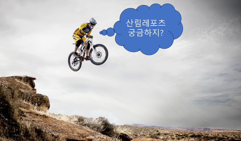 산림 휴양은 “산림을 기반으로 하거나 산림을 이용하여 행해지는 야외 휴양활동”이고, 레포츠(leisure+sports)는 여가를 즐기면서 신체를 단련할 수 있는 운동의 합성어다. 때문에 산림 레포츠는 "산림에서 이루어지는 레포츠로서 산림휴양활동의 일부분이 된다.